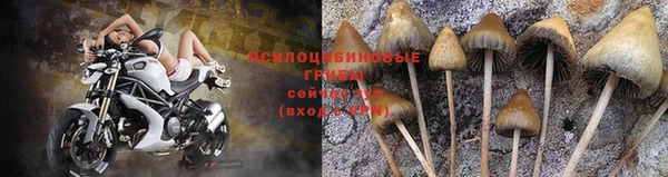 МДМА Нефтегорск