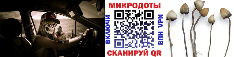 Галлюциногенные грибы Cubensis  Шумерля 