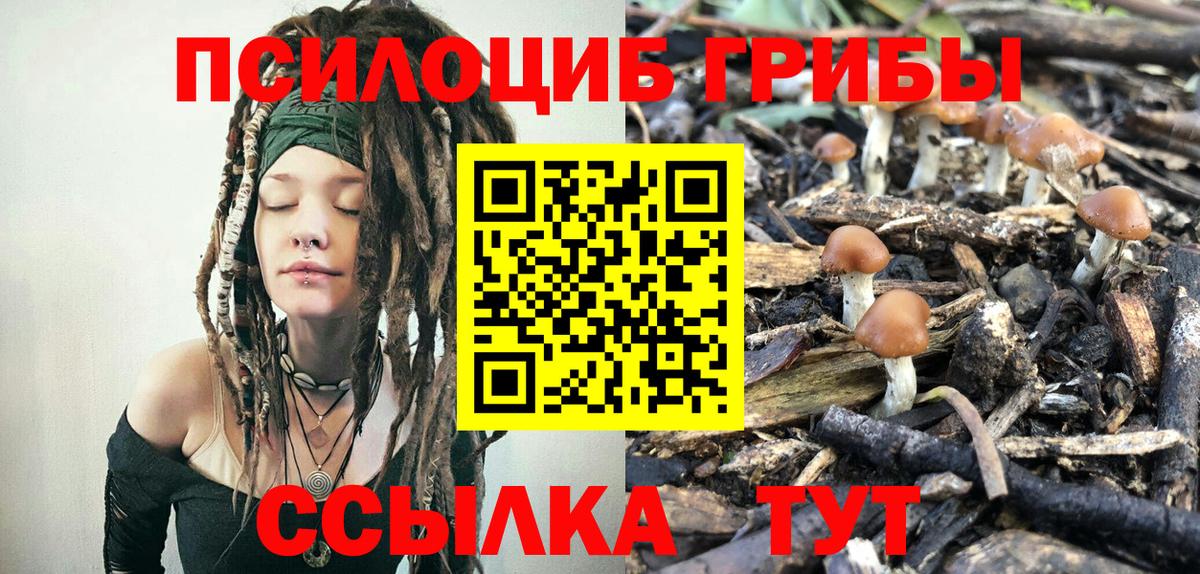 Шумерля  Псилоцибиновые грибы мицелий  Вход с VPN 